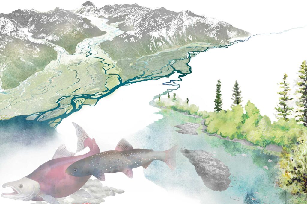 Illustration of mountains, river and salmon